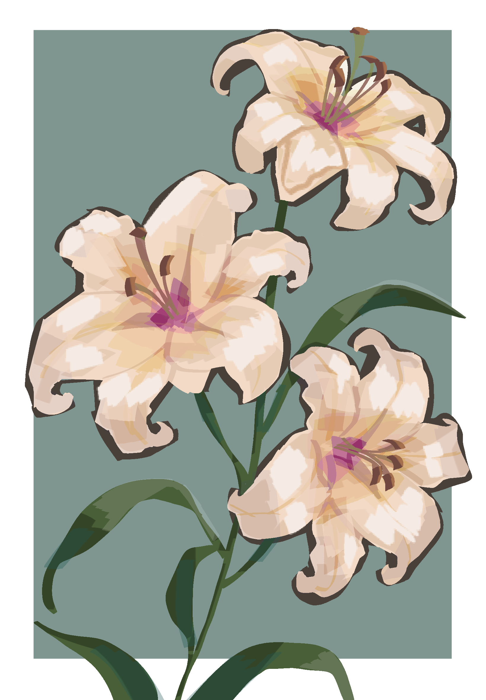 Digital illustration of pale lilies with dark green leaves