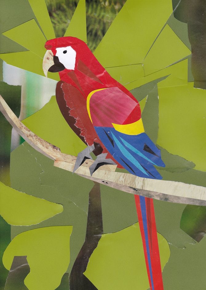 Collage artwork of a red parrot used as a style reference