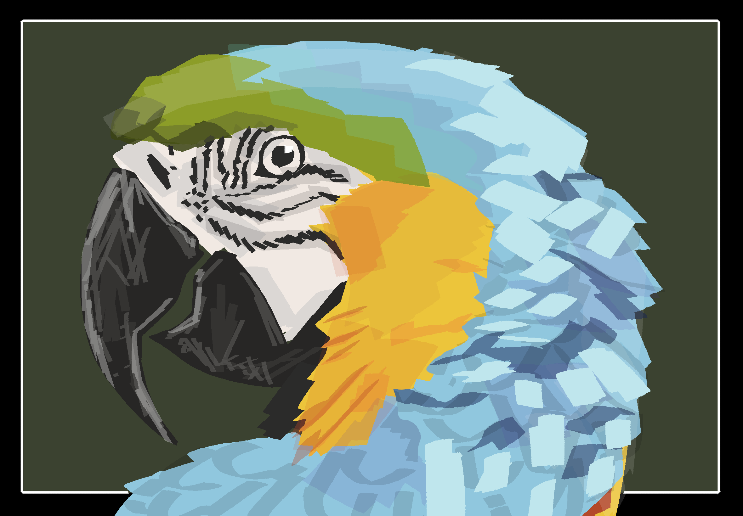 Digital illustration of a blue and yellow macaw
